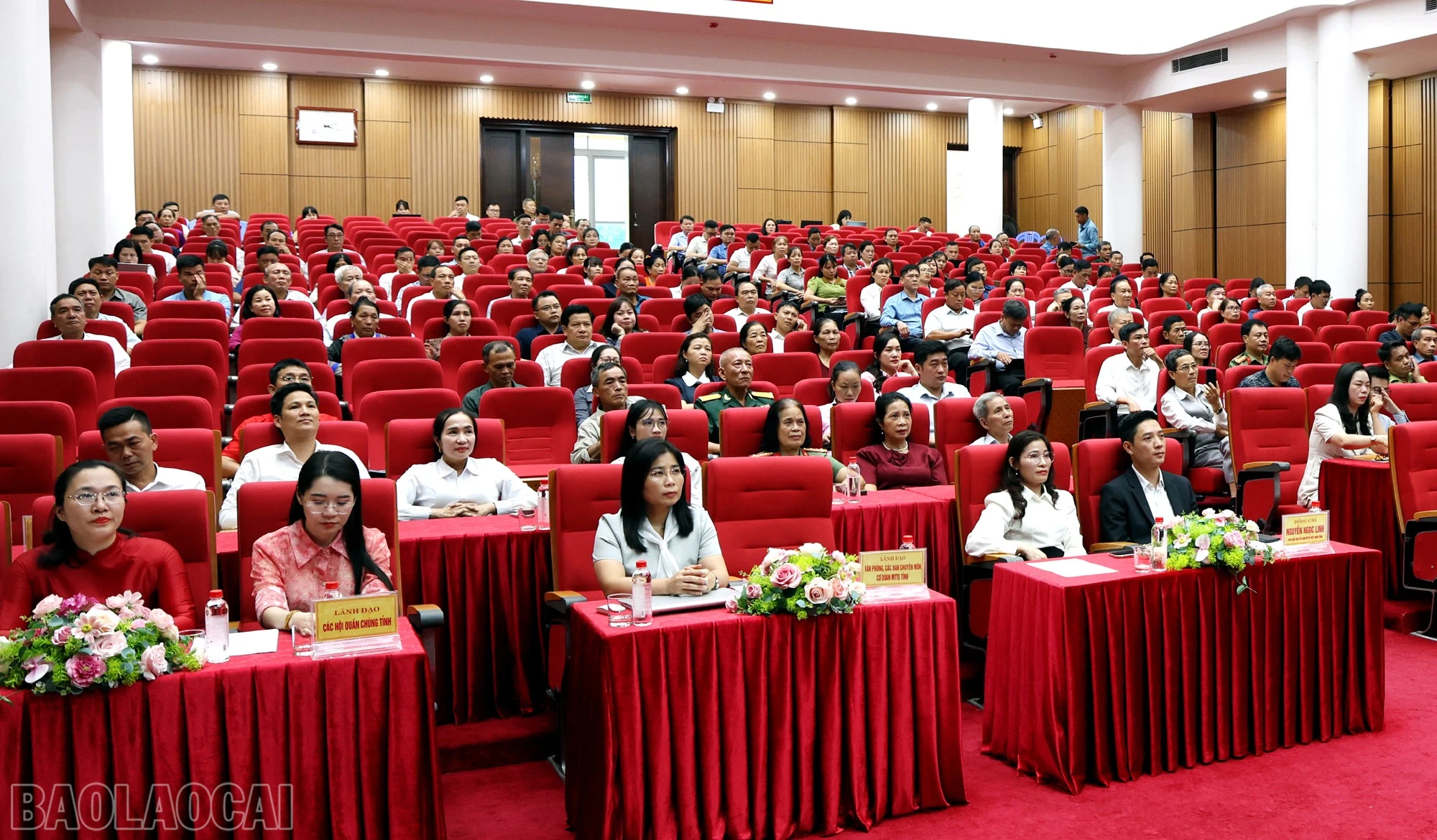 baolaocai-bl_1l8a8167c.jpg
