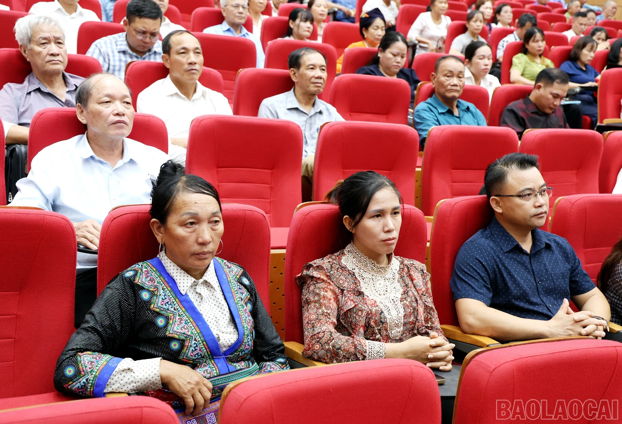 baolaocai-br_1l8a8184c.jpg