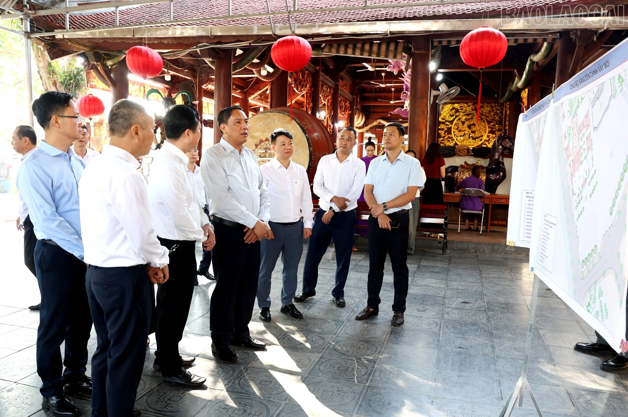 baolaocai-tr_1l8a9962c.jpg
