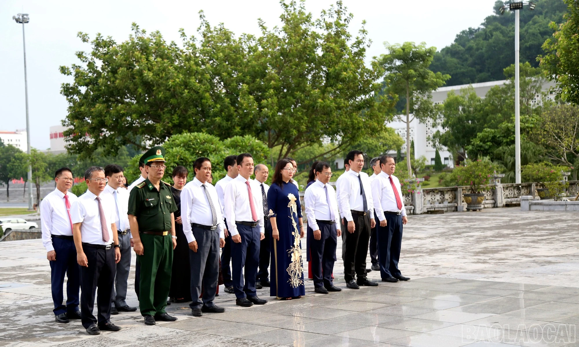 baolaocai-br_v7.jpg