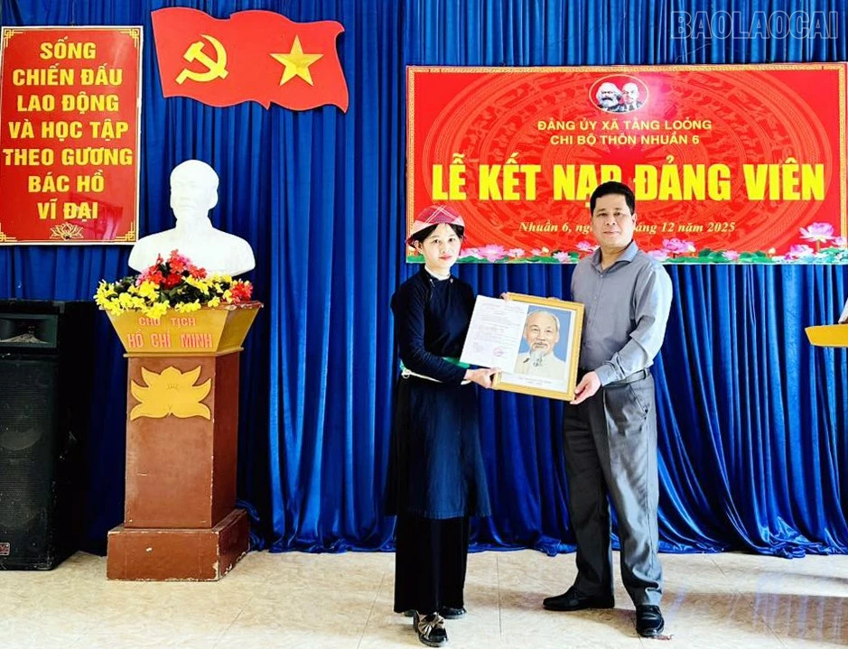 baolaocai-tr_tl2.jpg
