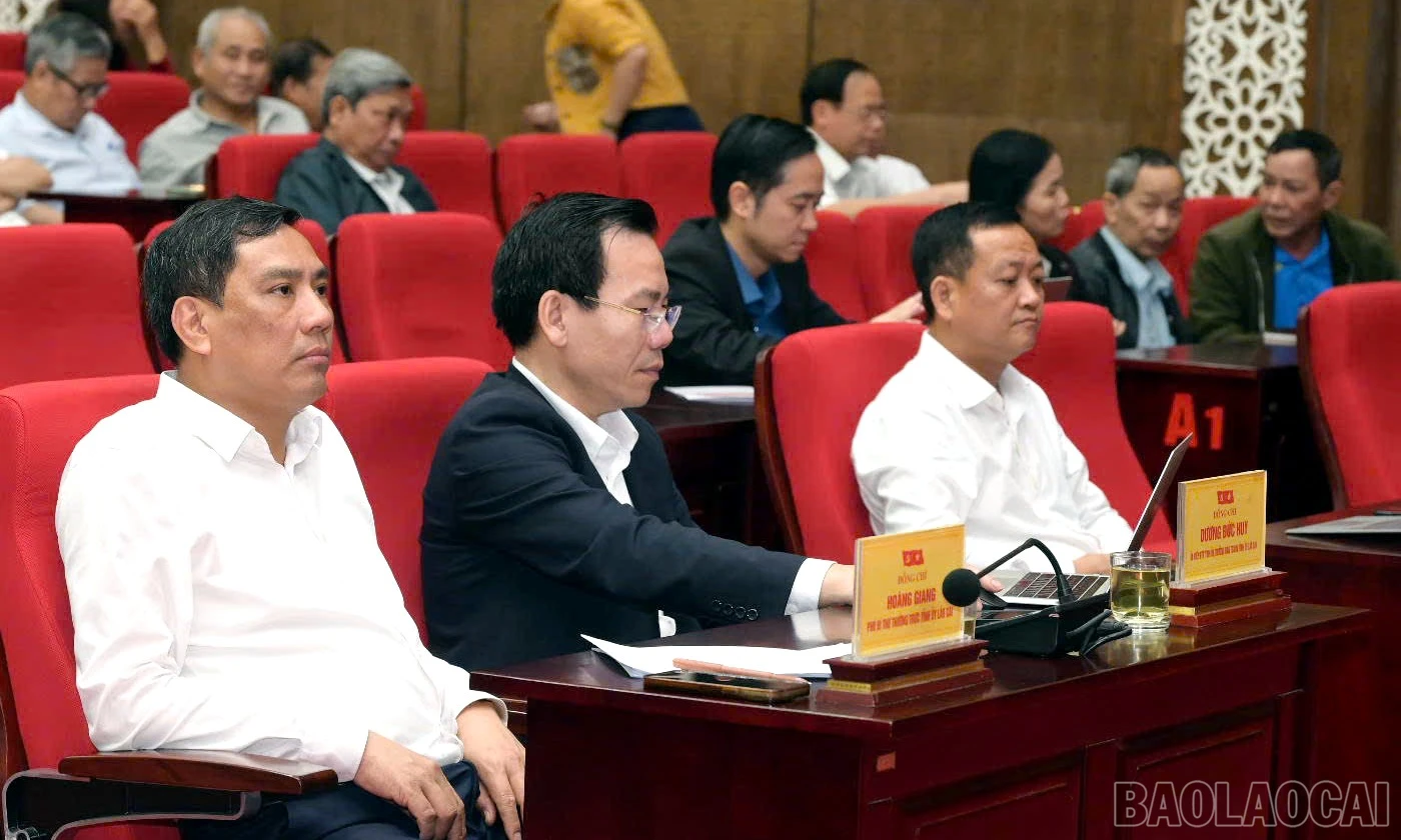 baolaocai-br_bc1.jpg