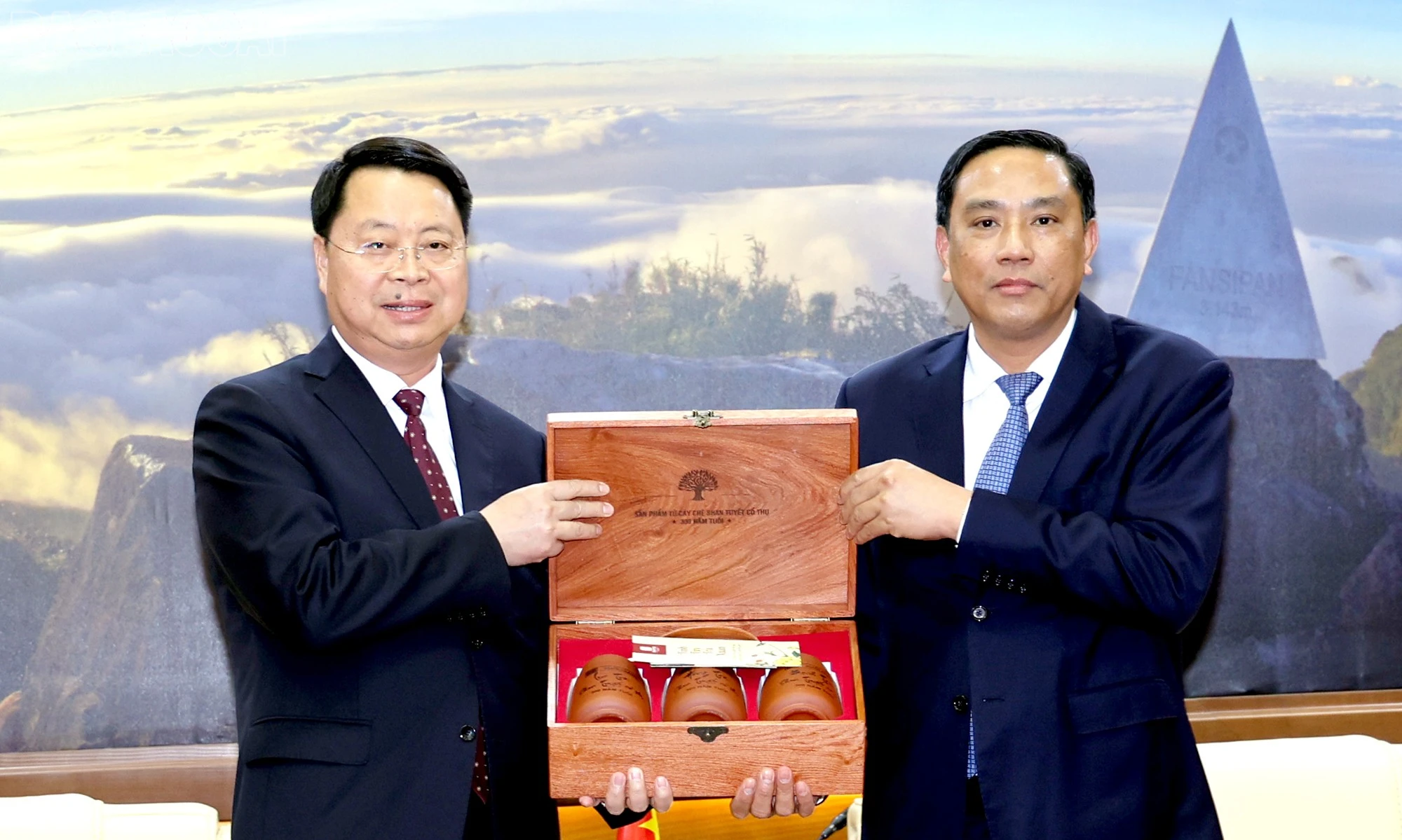 baolaocai-tl_hh3.jpg