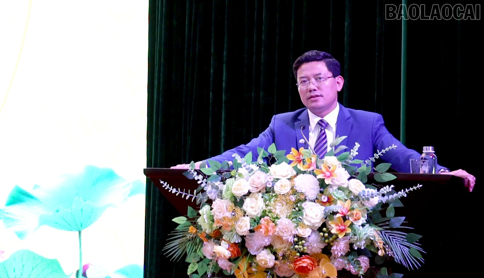 baolaocai-tr_cd14.jpg