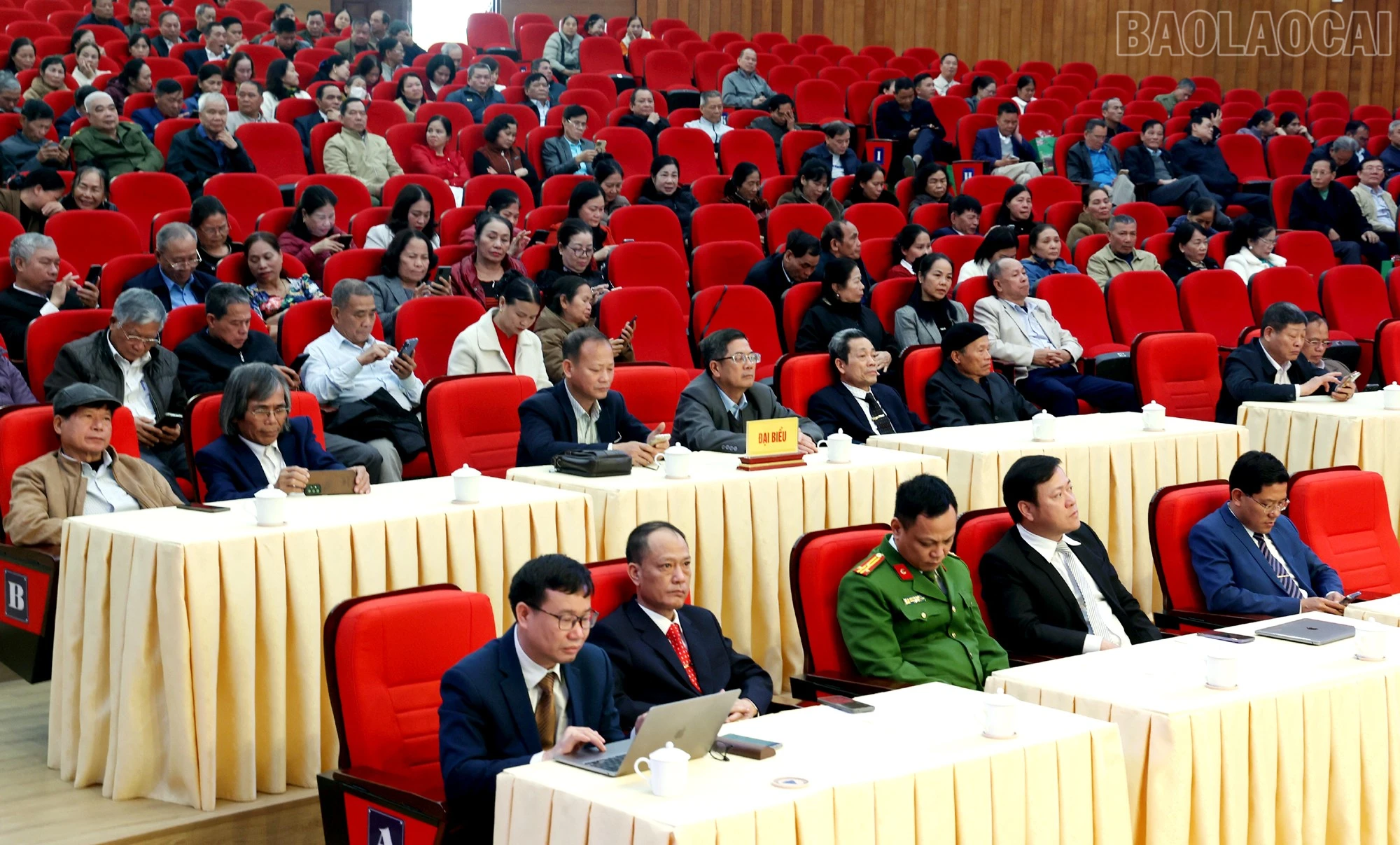 baolaocai-tr_cd1.jpg