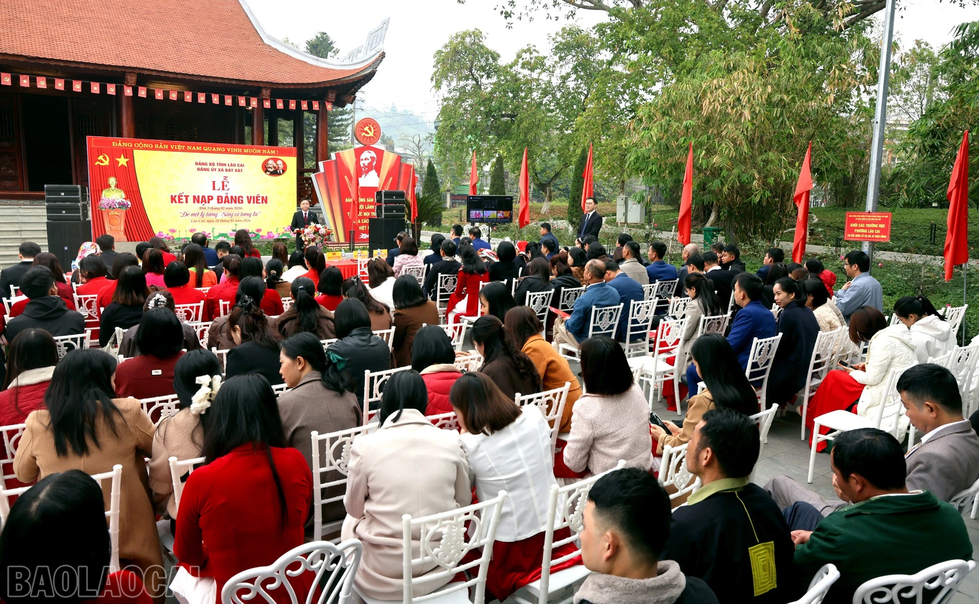 baolaocai-bl_bx2.jpg