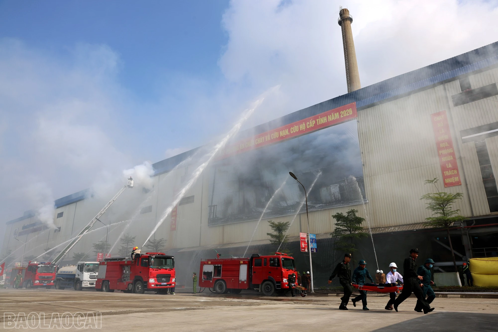 baolaocai-bl_19.jpg