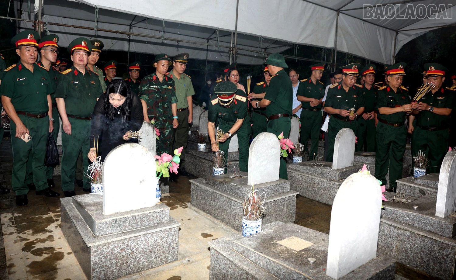 baolaocai-tr_1l8a8945c.jpg