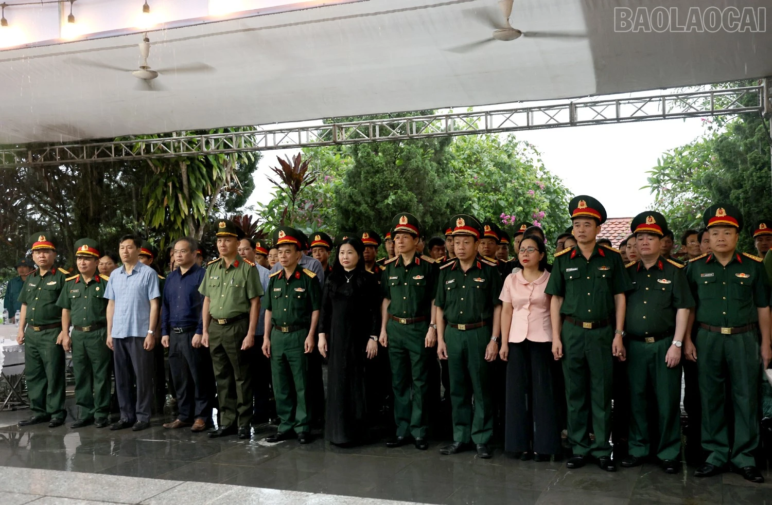 baolaocai-tr_1l8a8902c.jpg