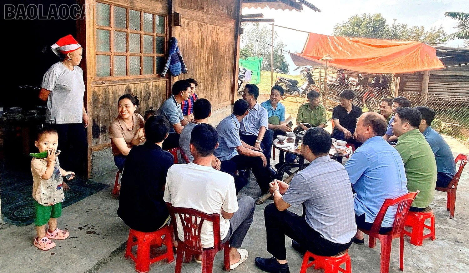 baolaocai-tl_bhc.jpg