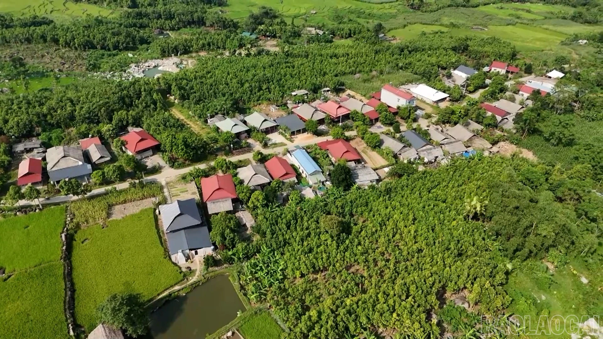 baolaocai-br_anh-2-7752.jpg