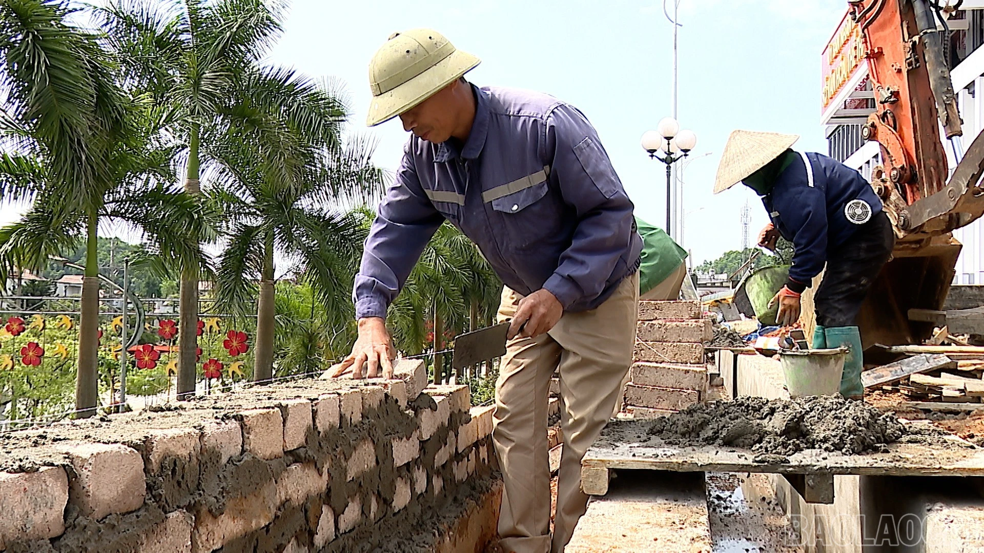 baolaocai-br_anh-ong-luc-3044.jpg