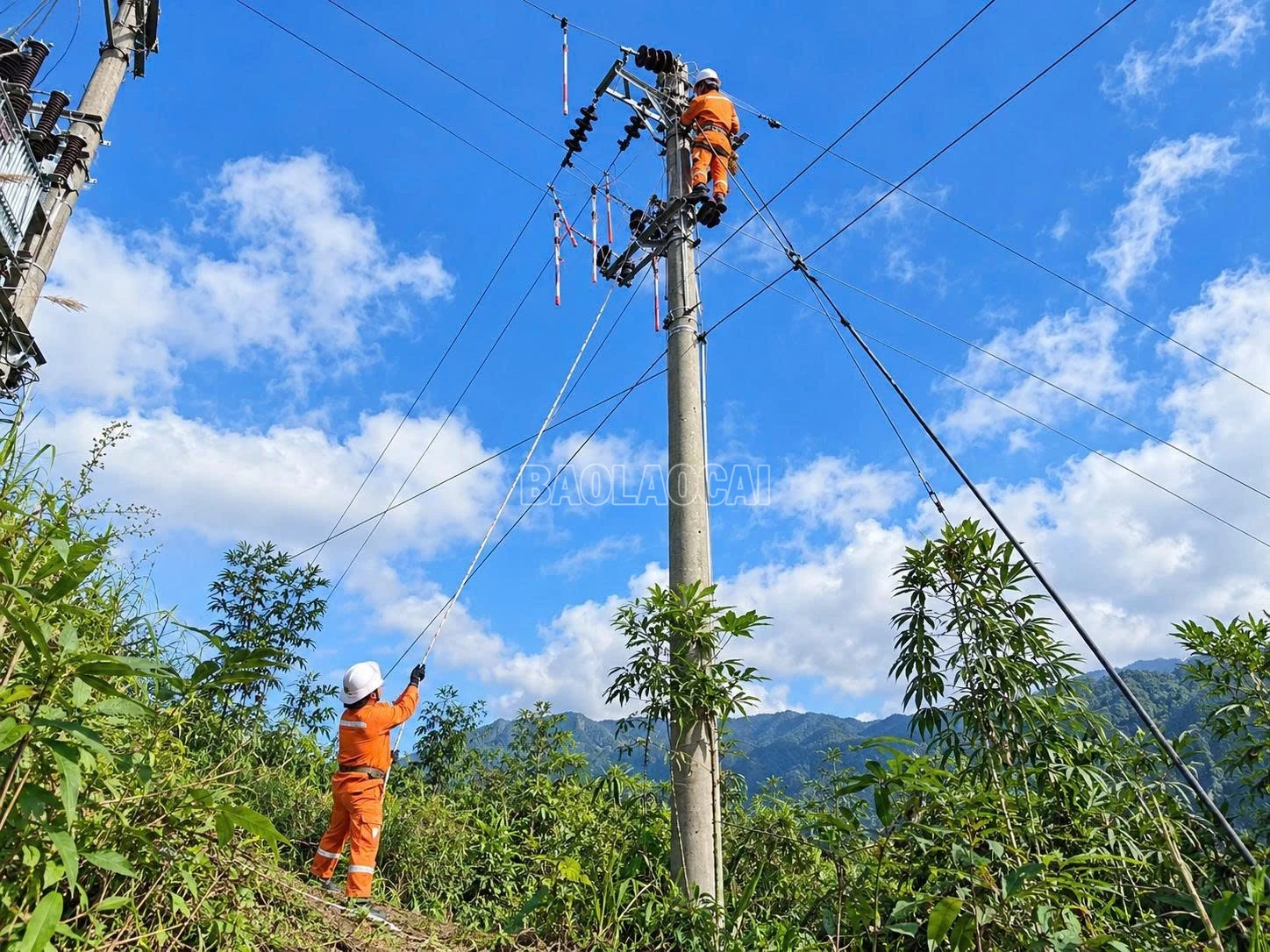 baolaocai-c_dau-dien-3510.jpg