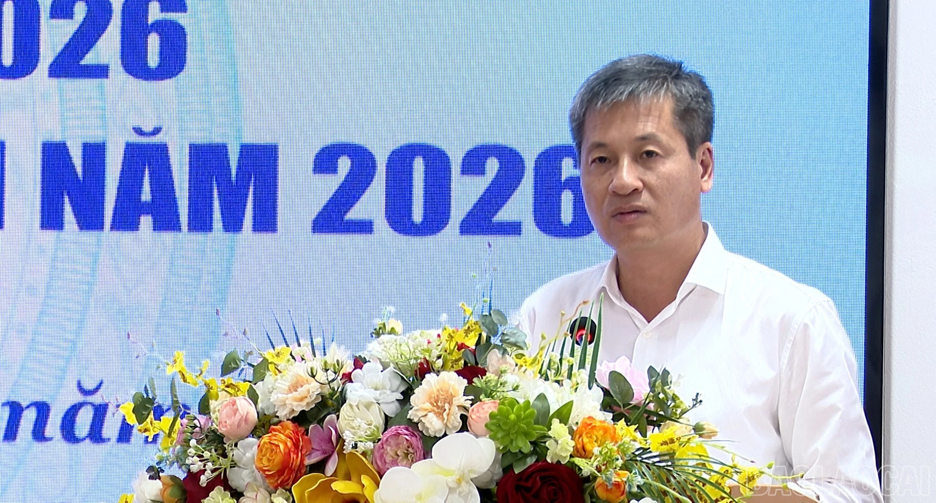 baolaocai-br_anh-14.jpg