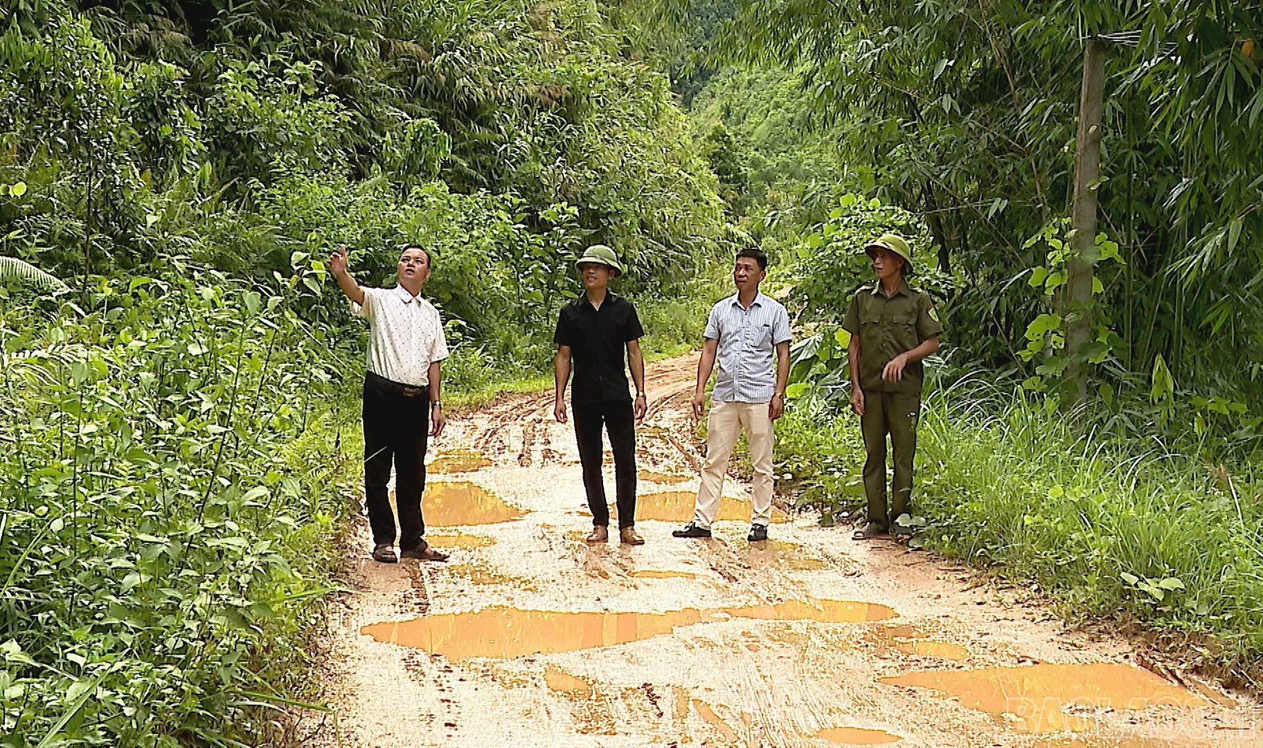 baolaocai-br_anh-mlai-8-8175.jpg