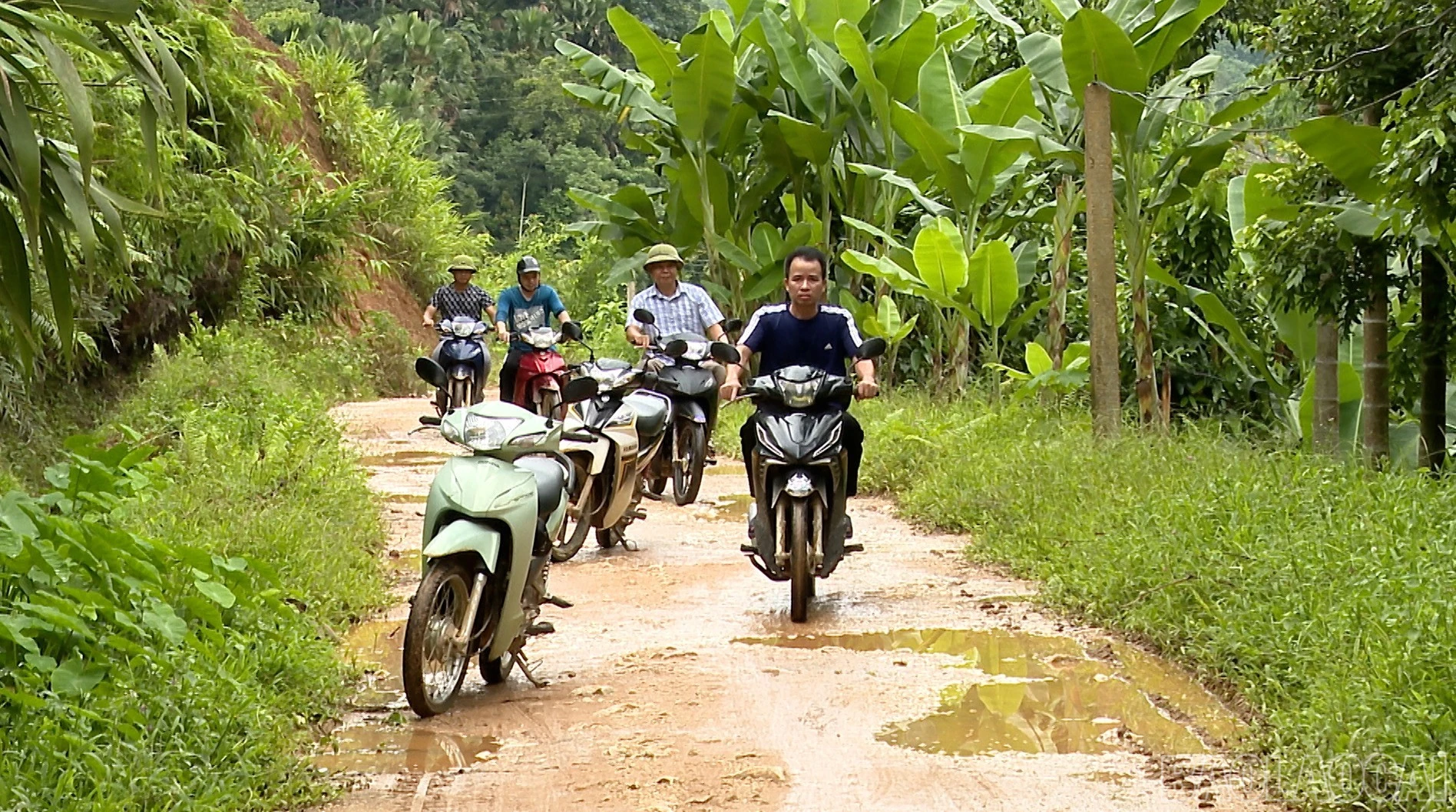 baolaocai-br_anh-mlai-8321.jpg