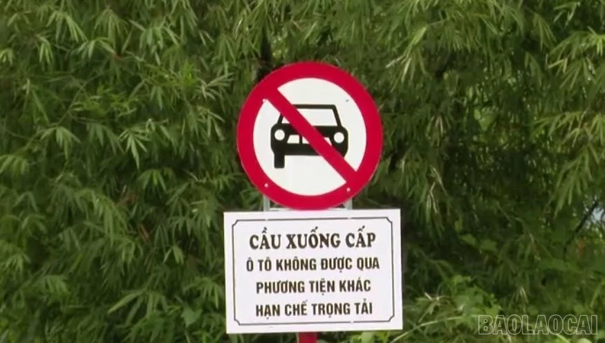 baolaocai-br_1783672271087-839636322683286312-839636322683286312-87e31f17439f09508c87bd12d2e1dd4d-339.jpg