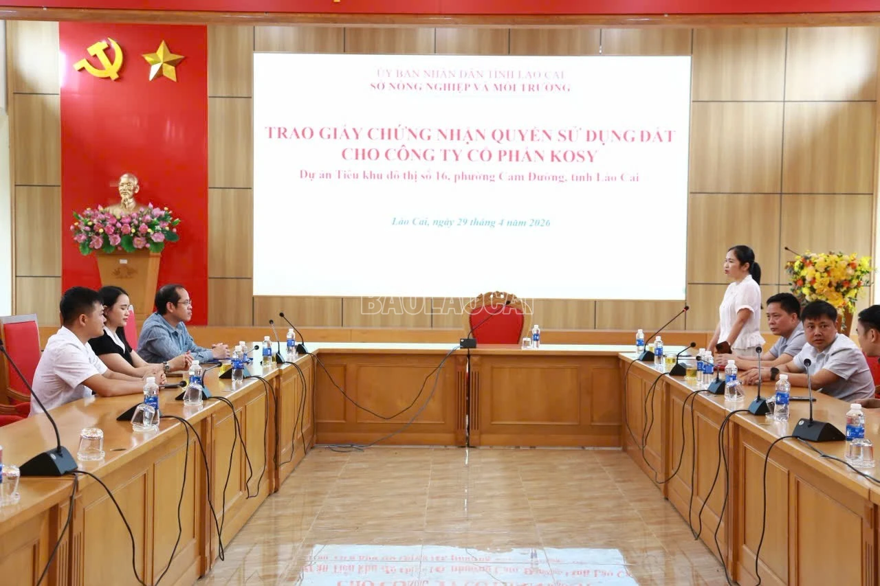 baolaocai-c_anh-2-8910.jpg