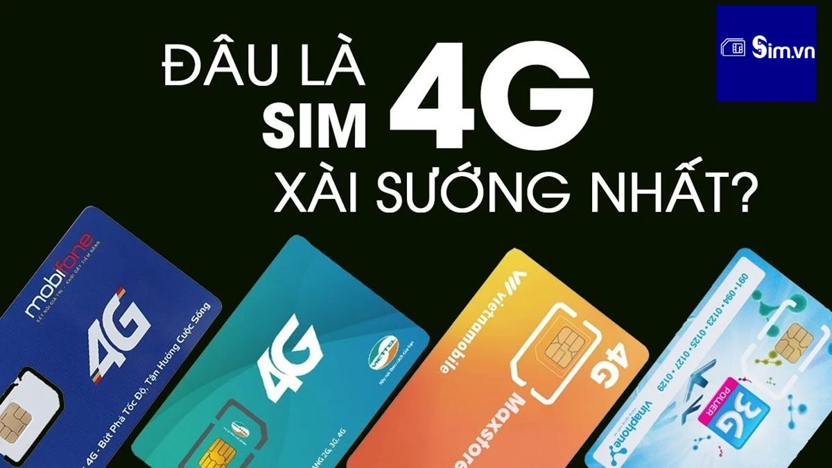 sim 1.jpg