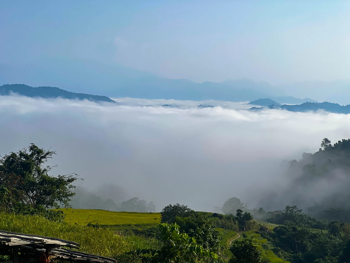 Ở bất cứ điểm nào trên đồng ruộng, nhất là vào buổi sáng, đều khiến du khách cảm nhận như đang đứng giữa biển mây.