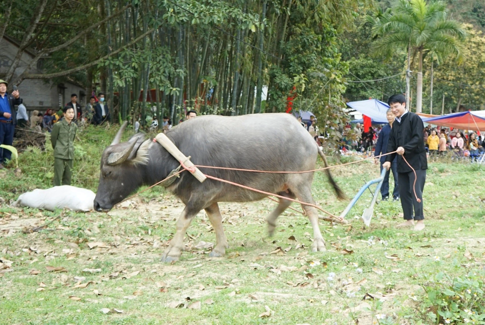 Trung Đô 2.jpg