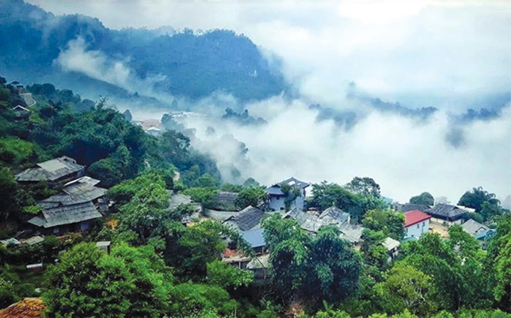 318352-ngoilang20240222135956.8111800.jpg