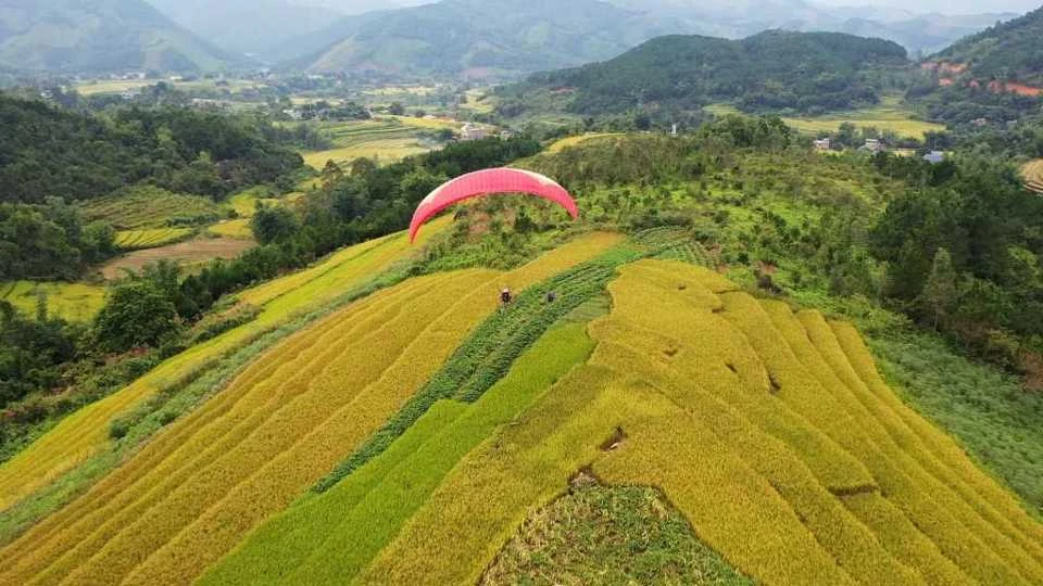 Mùa thu vàng ở Bình Liêu.
