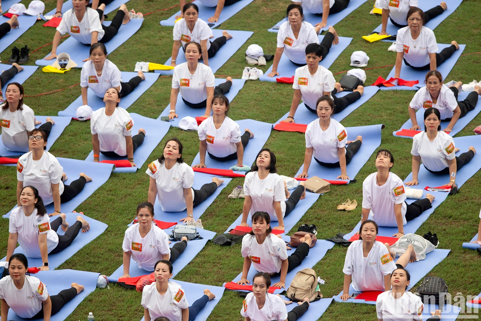 Yoga hoặc yoga dưỡng sinh đang là một trong nhiều bộ môn thể thao nhẹ nhàng được ưa chuộng tại Việt Nam và ở nhiều quốc gia trên thế giới.