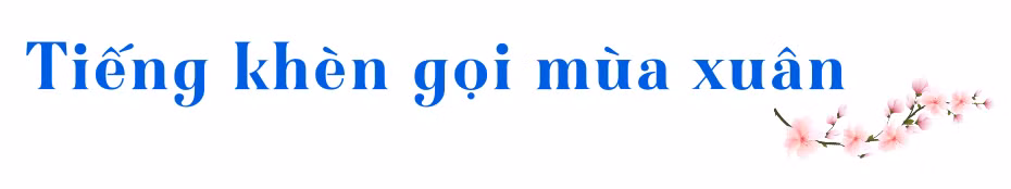 a6.png