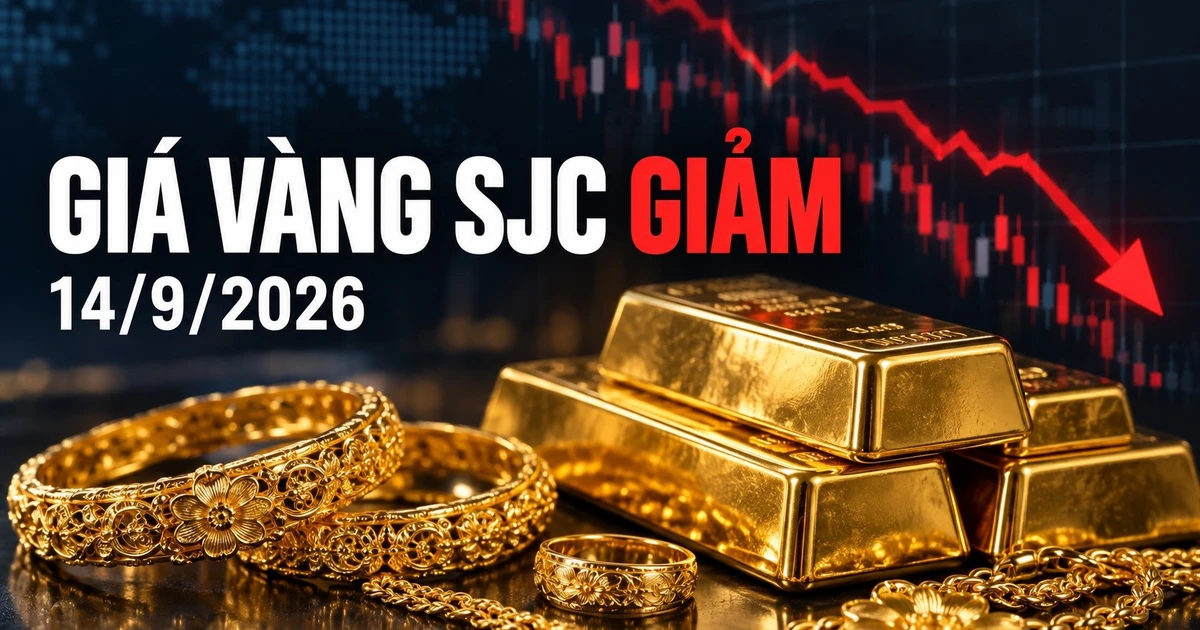 Giá vàng sáng 14/9 biến động trái chiều, SJC giảm 300.000 đồng/lượng
