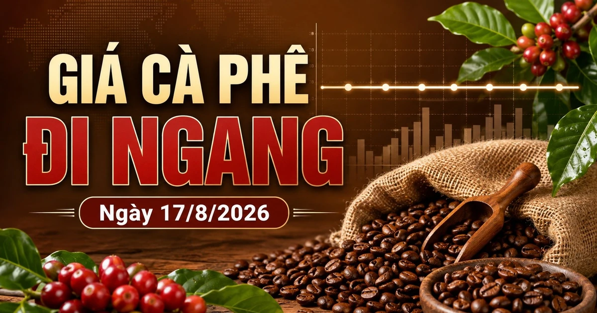 Giá cà phê hôm nay 17/8 ngừng giảm, Robusta và Arabica chờ tín hiệu mới