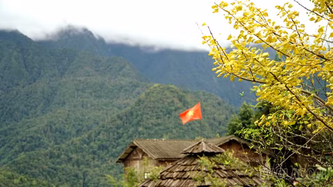 [Ảnh] Sa Pa mùa ngân hạnh thay sắc