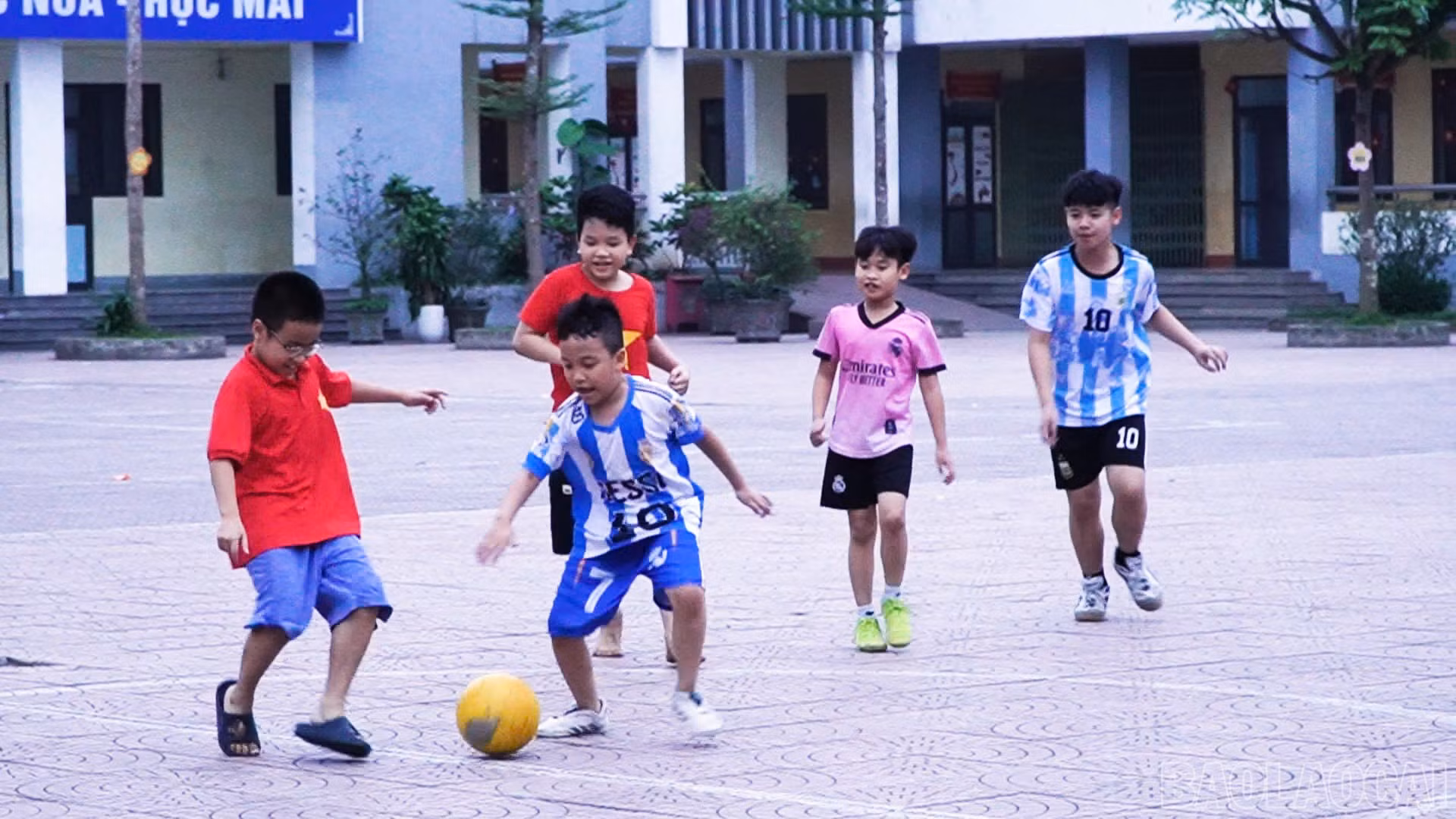 baolaocai-br_b44a50f9-7604-4e50-a0e0-b4d5b6089fc0.jpg