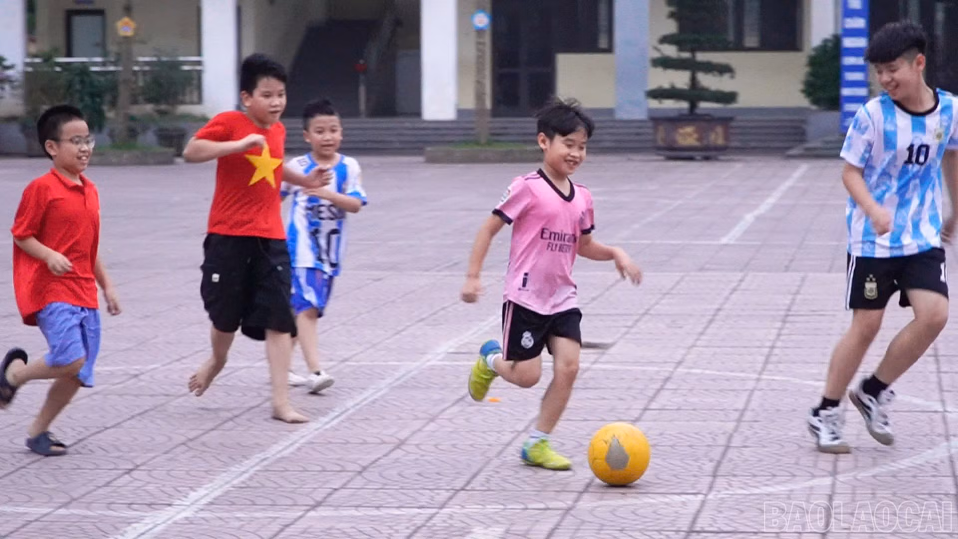 baolaocai-br_296922ac-9164-4812-a992-d06e3ac8b6bc.jpg