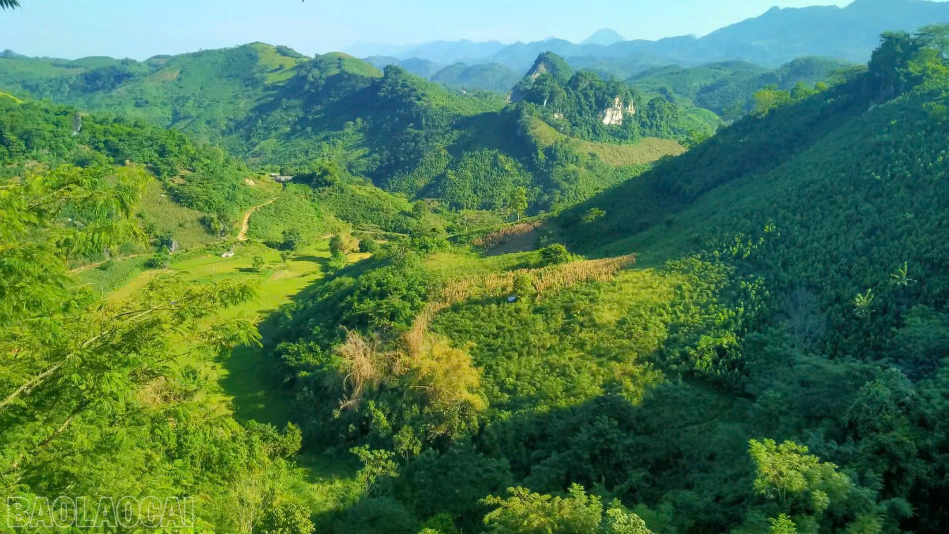 baolaocai-bl_anh-5-vi-tri-du-kien-xay-dung-khu-tai-dinh-cu-tai-thon-9-mai-dao.png