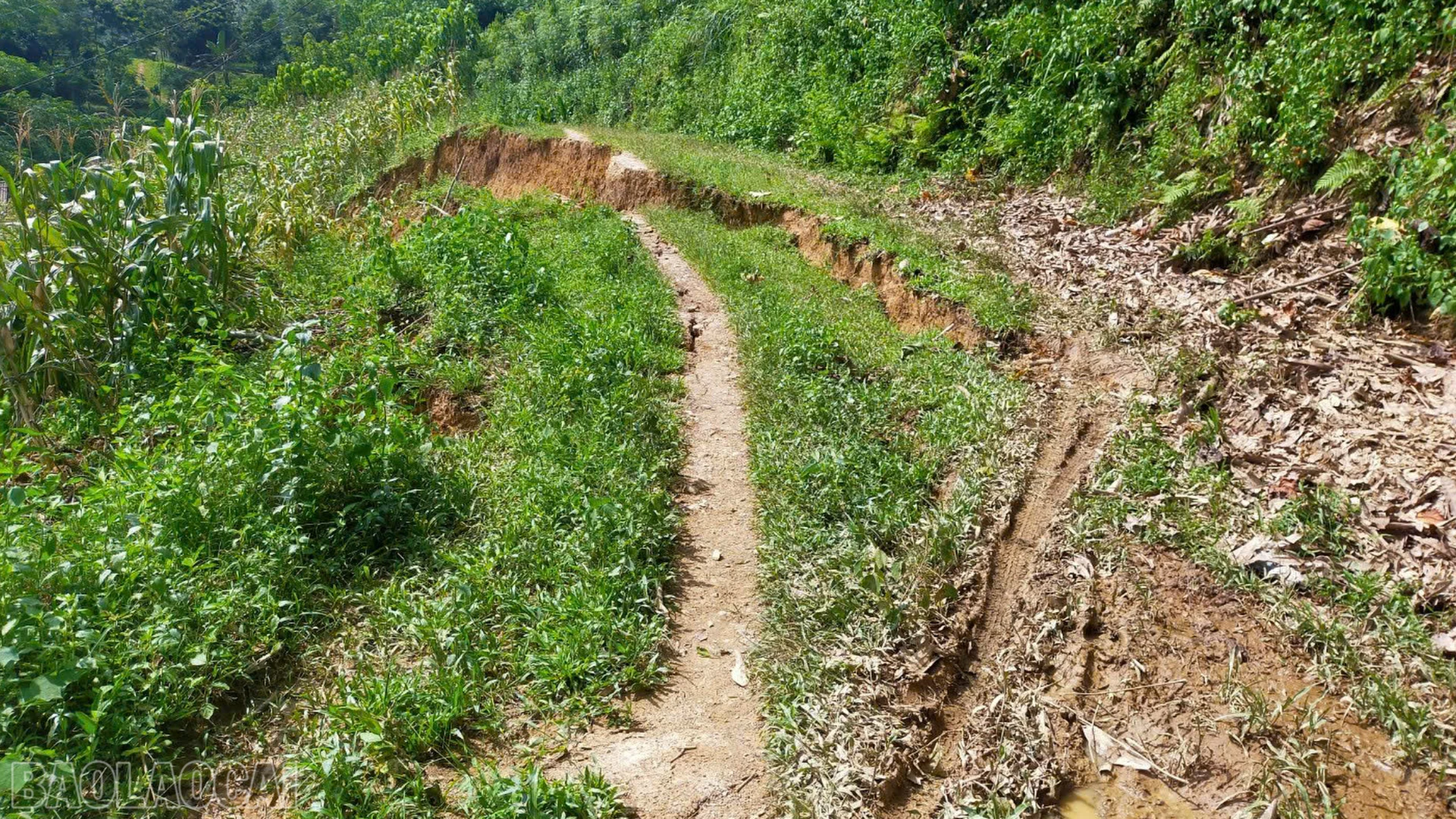 baolaocai-bl_anh-9-cung-sut-sat-lon-tren-o-duoi-la-khu-dan-cu.png