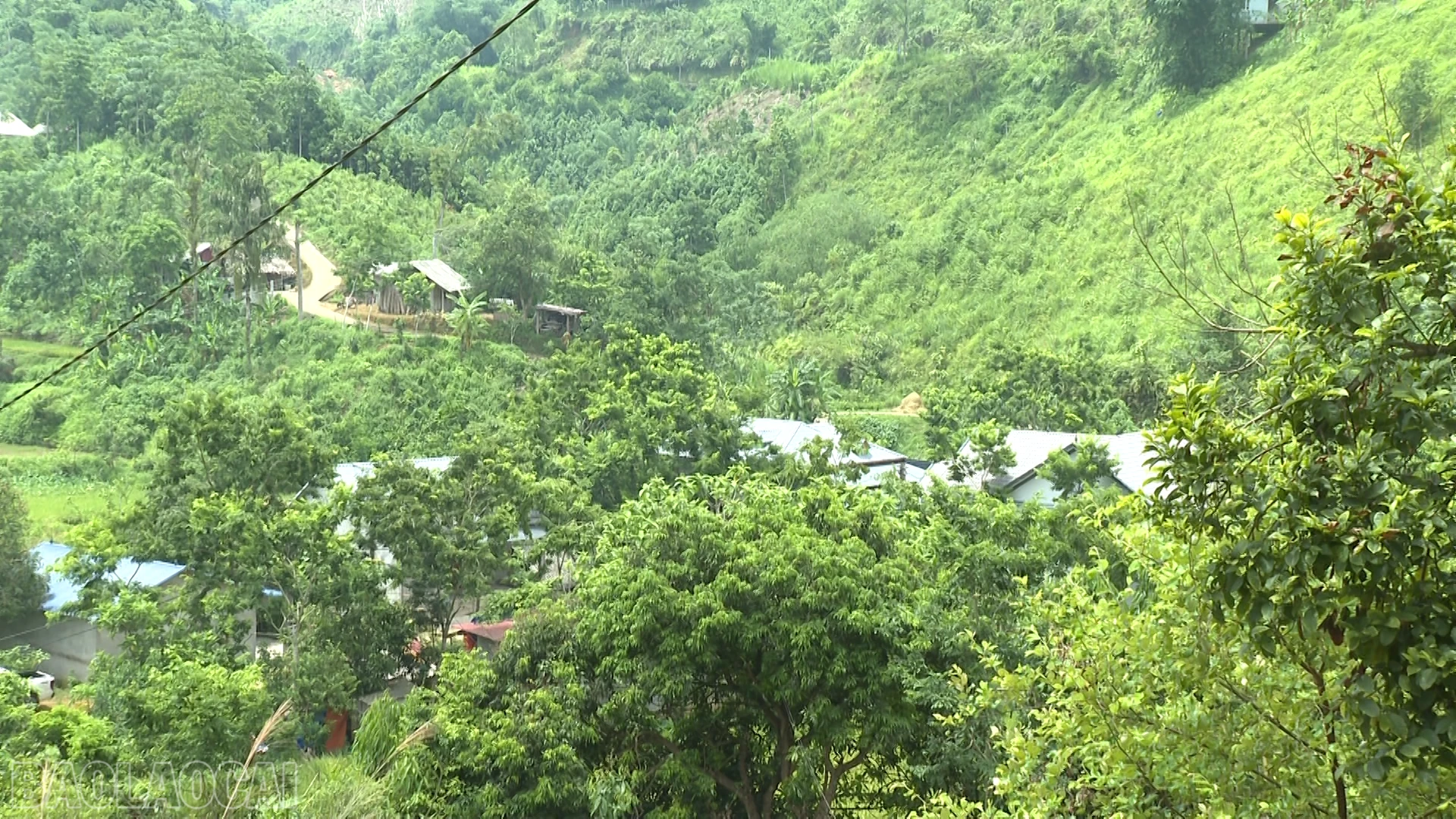 baolaocai-bl_anh-2-nha-ho-dan-duoi-diem-sat-thon-9-mai-dao-xa-thuong-ha.png