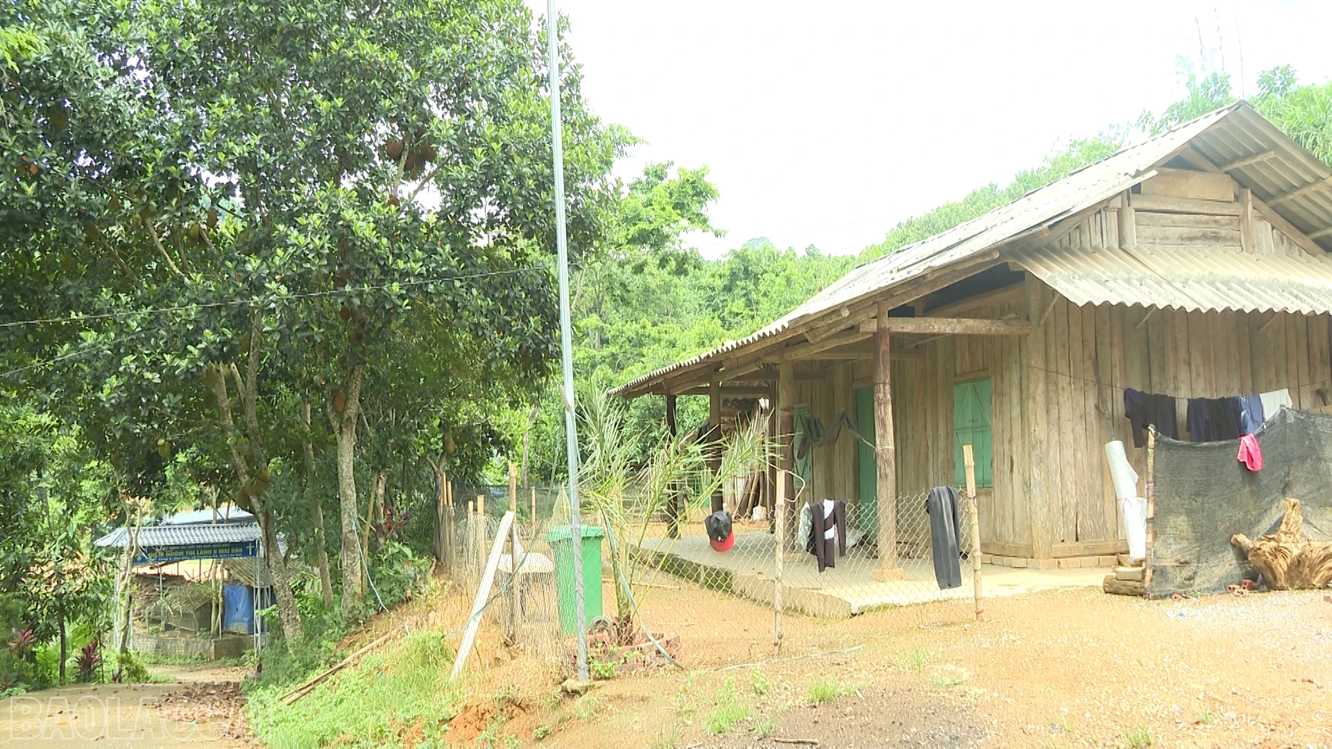 baolaocai-bl_anh-4-nha-ho-dan-thon-9-mai-dao-xa-thuong-ha.png