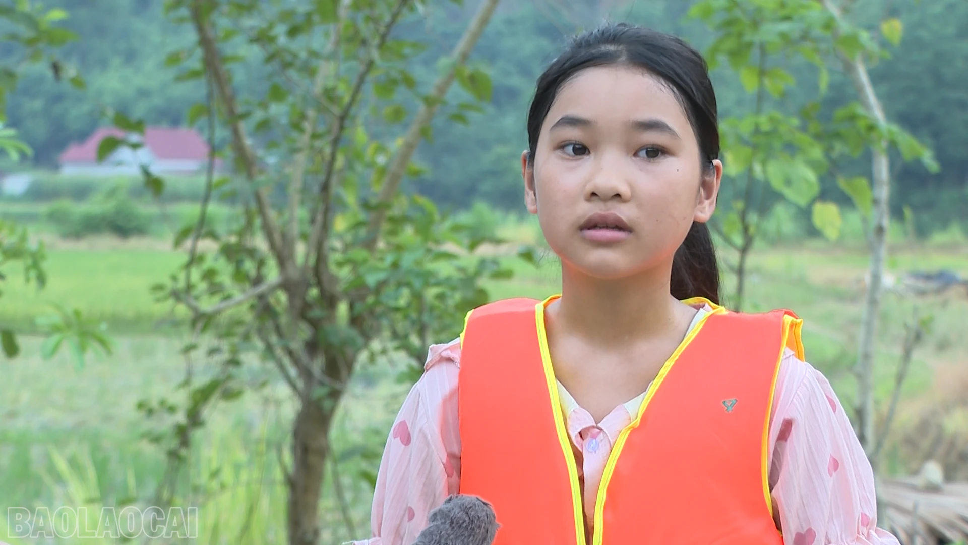 baolaocai-bl_anh-chau-111.png