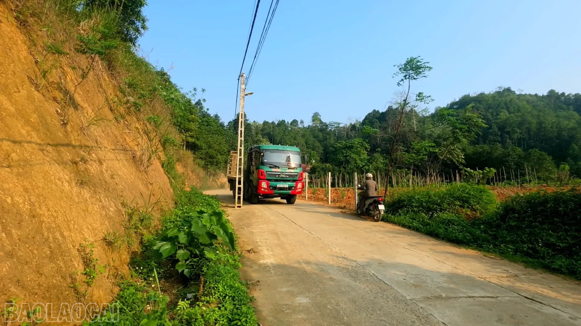 baolaocai-bl_anh-1-cot-dien-tren-tuyen-dduuwownhf-xuan-quang-2-di-coc-man-xa-xuan-quang.png