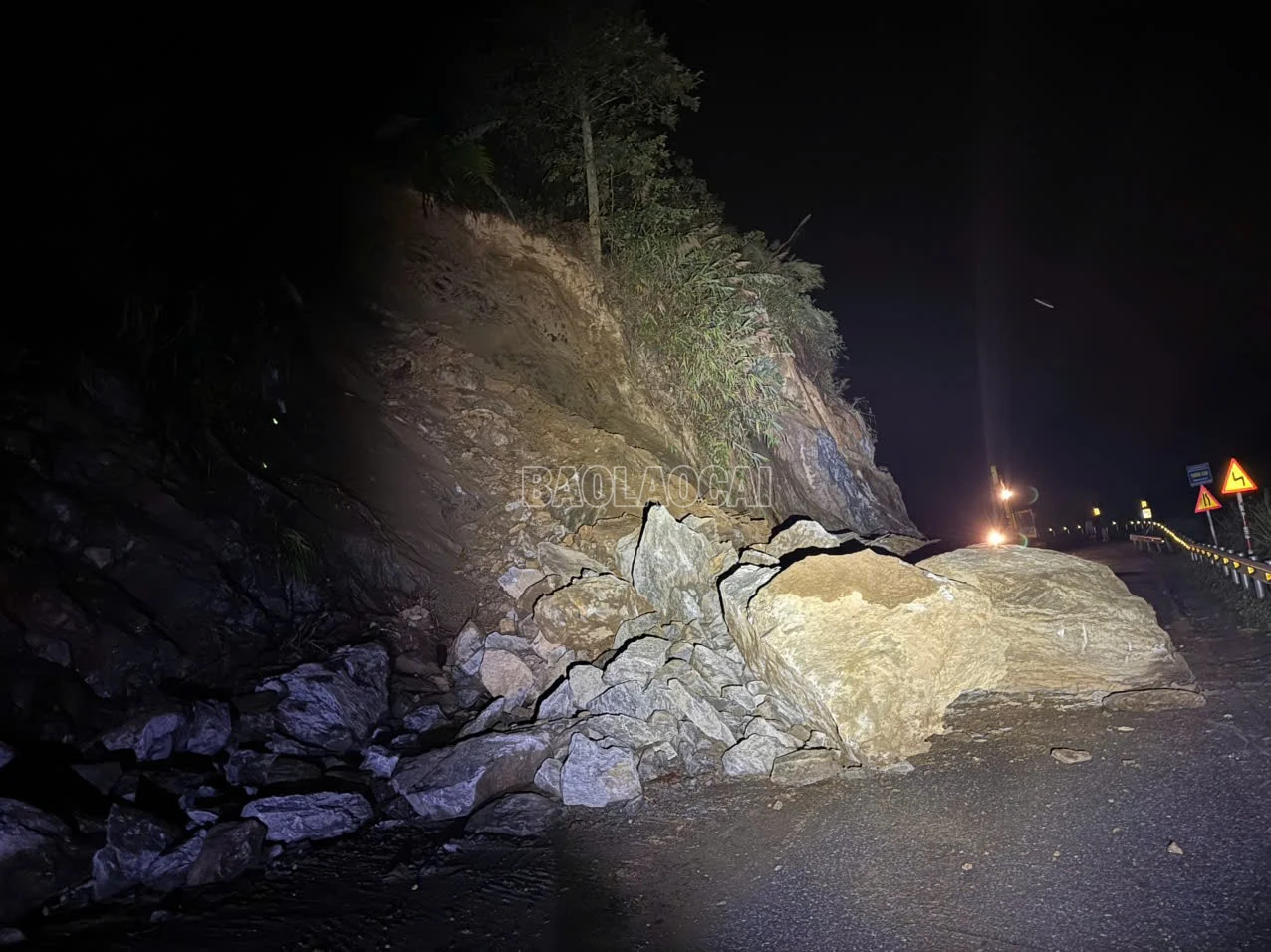 baolaocai-c_4414907523982597730-2.jpg