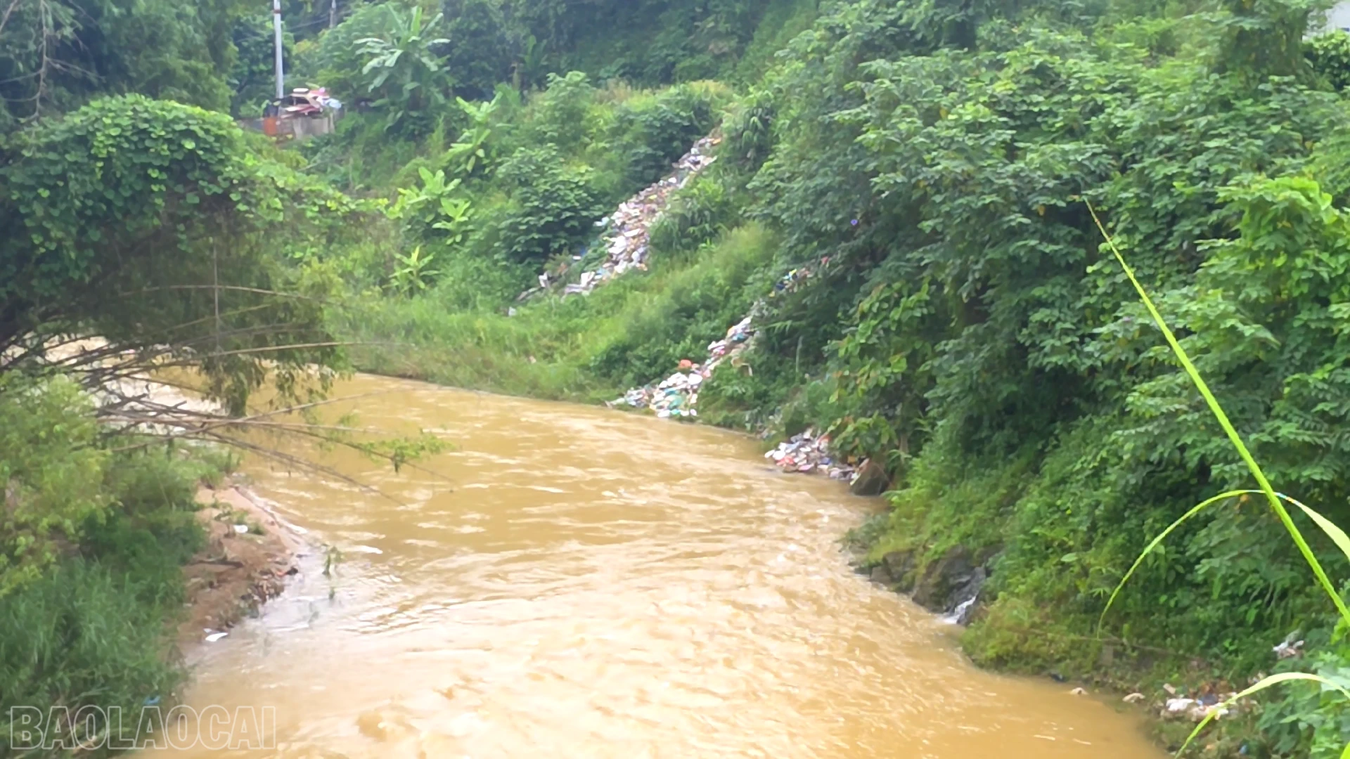 baolaocai-bl_anh-14-con-day-la-kgu-vuc-to-29-bac-cuong-phuong-cam-duong-tinh-trang-do-rac-cung-xuat-hien.png