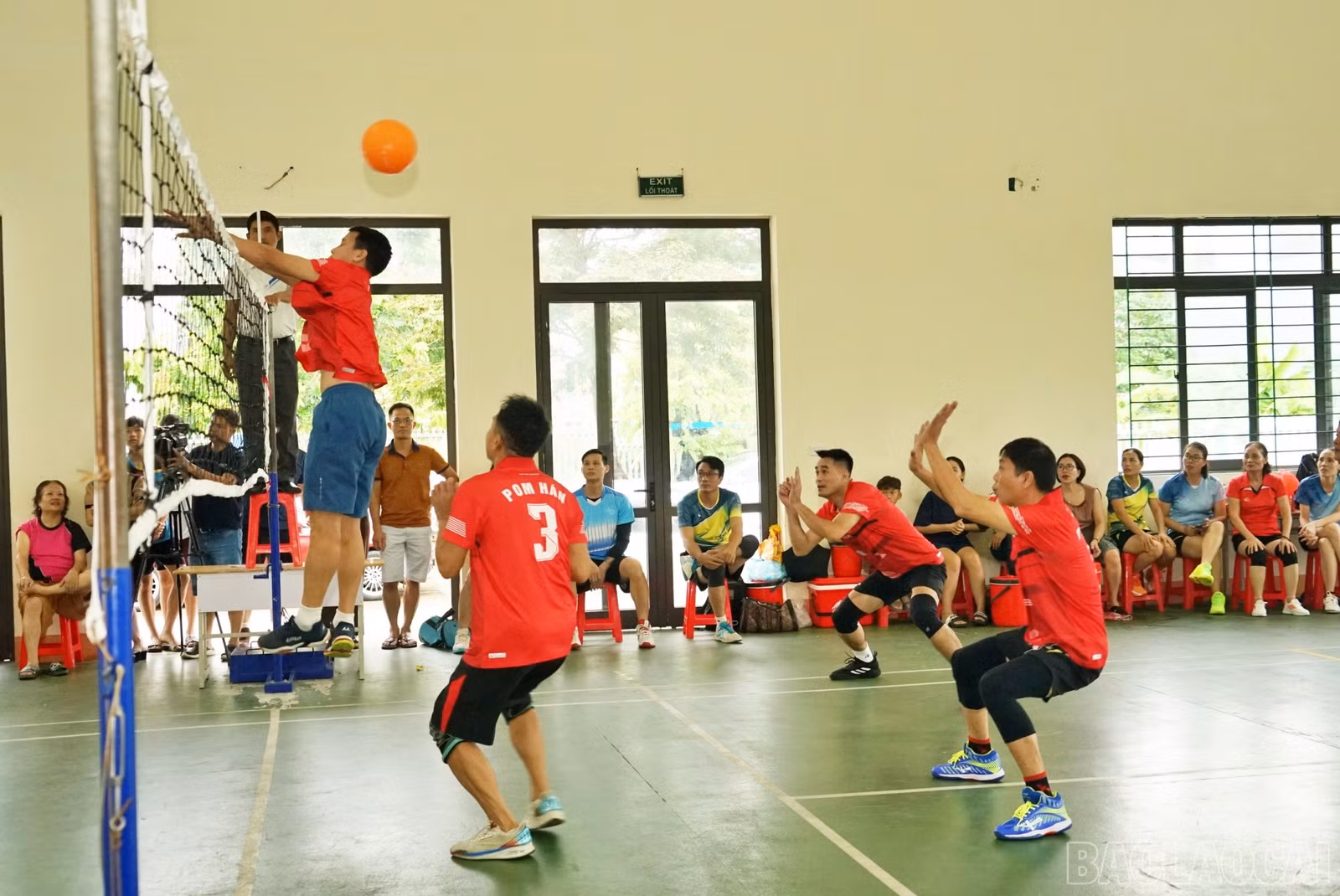 baolaocai-br_bch8.jpg