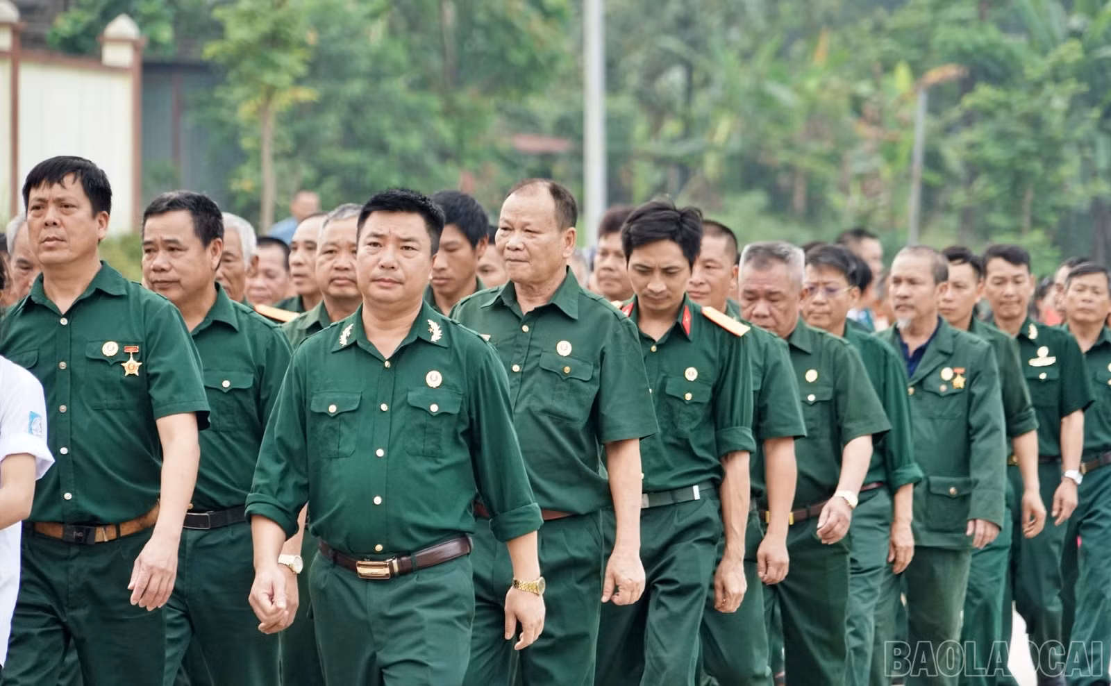 baolaocai-br_tanglong8.jpg