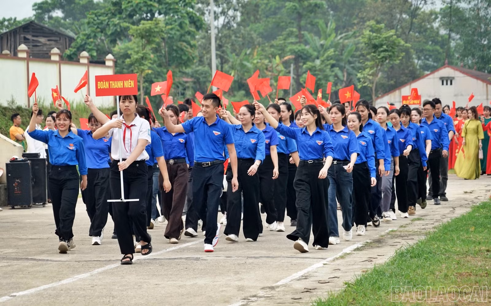 baolaocai-br_tanglong4.jpg