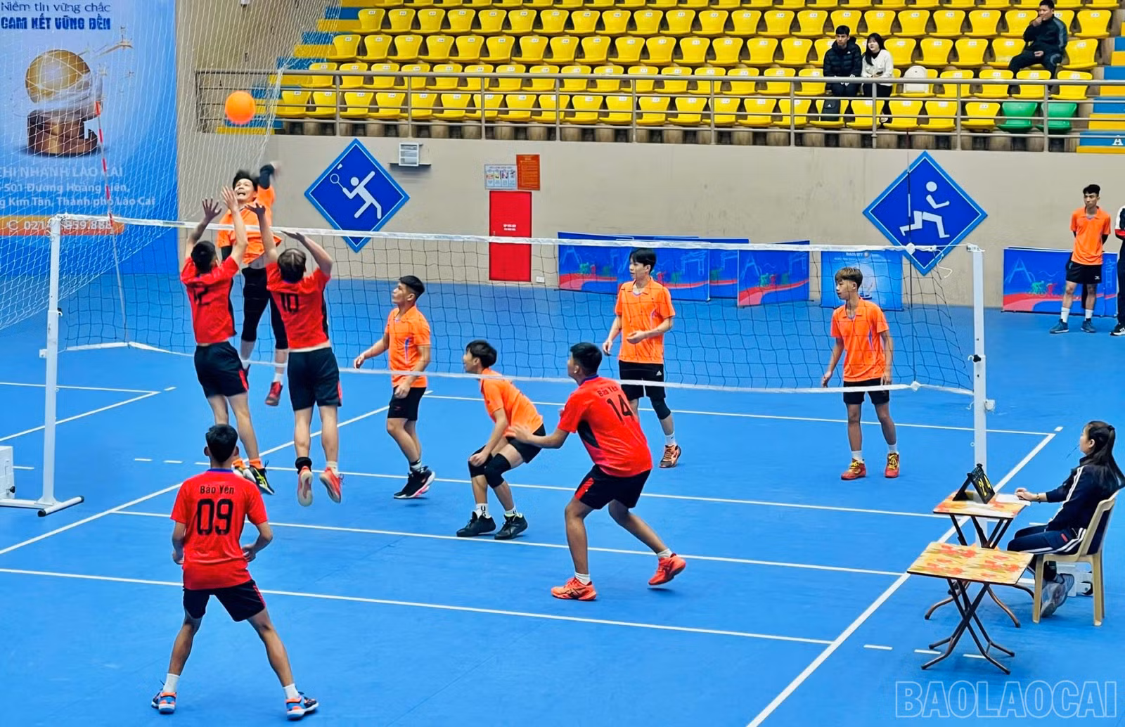 baolaocai-br_bc6.jpg
