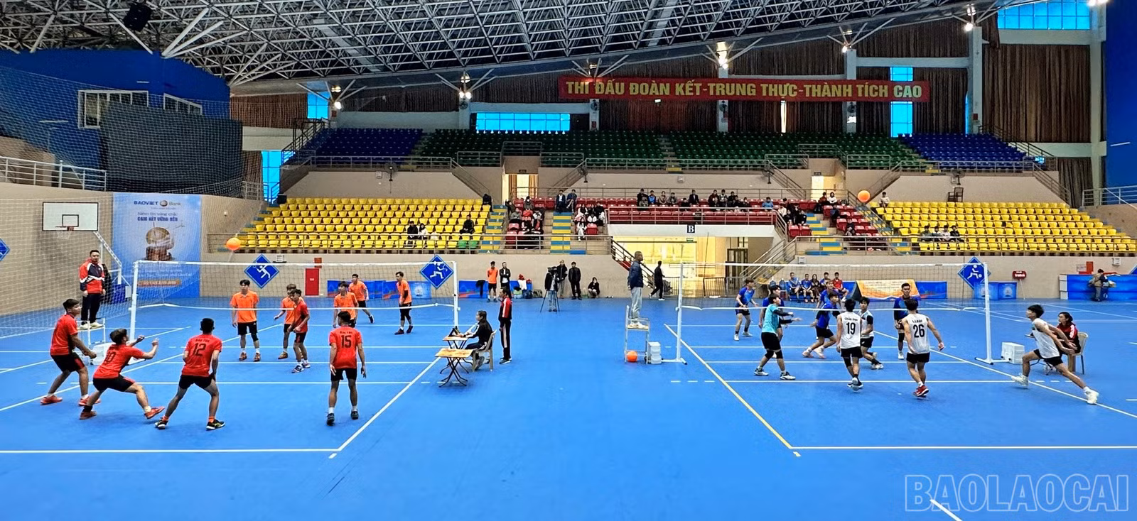 baolaocai-br_bc5.jpg