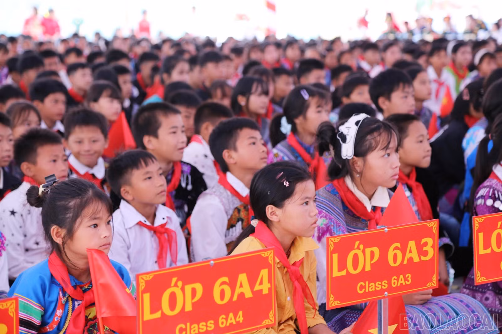 baolaocai-br_pha-long-1.jpg