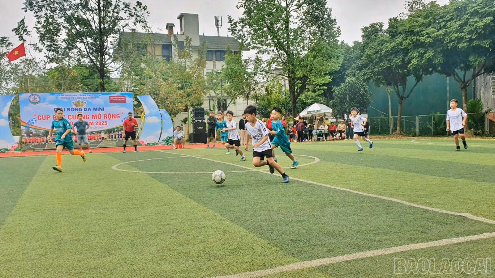 baolaocai-br_bc3.jpg