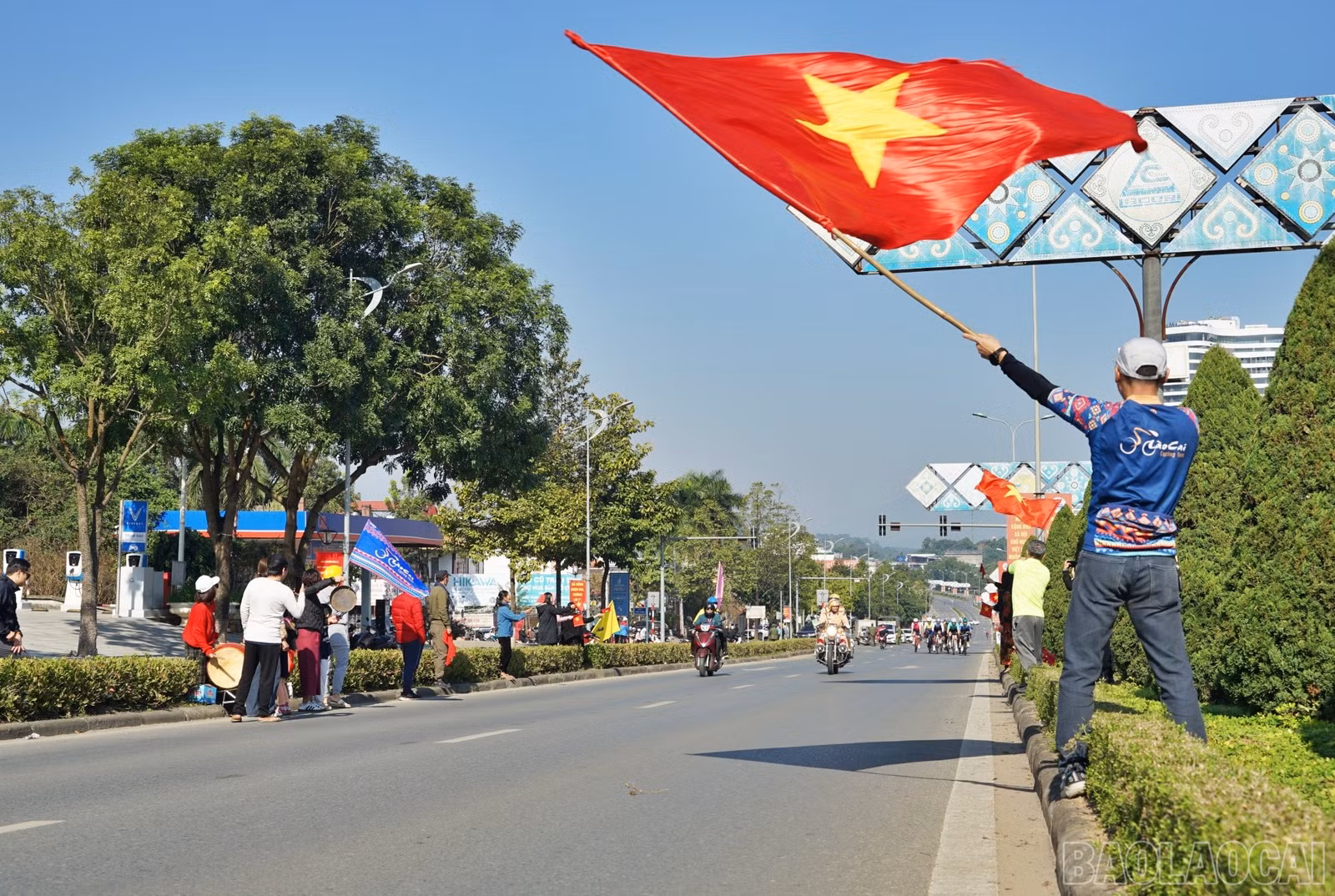 baolaocai-br_dua8.jpg